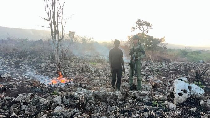 Autoridades desatan 'Compromiso Ambiental 2026' contra invasores