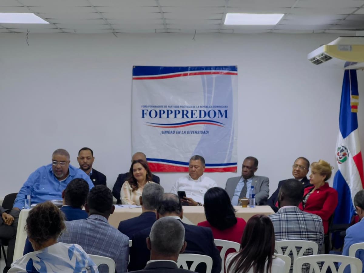 Imagen para: Abstención electoral retrocede: Karina Aristy denuncia la "preocupante" pérdida de voto