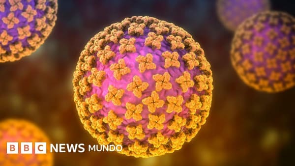 Imagen para: El hantavirus amenaza a España: 3 muertes en crucero y crecimiento del 17% en Argentina
