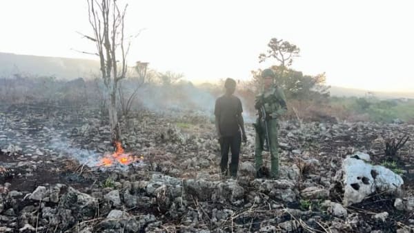 Autoridades desatan 'Compromiso Ambiental 2026' contra invasores