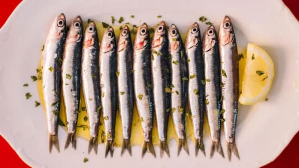 Imagen para: Sardinas: El Tesoro Azul del Caribe para una Vida Larga