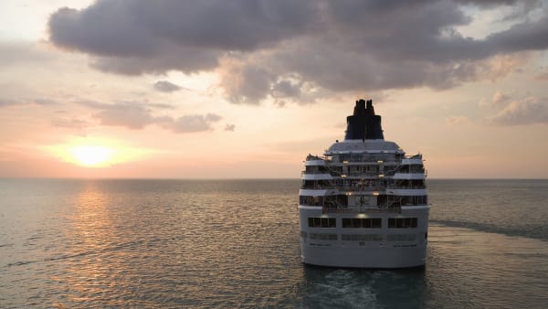 Imagen para: Norovirus en el Caribbean Princess: cómo un brote afecta al turismo caribeño