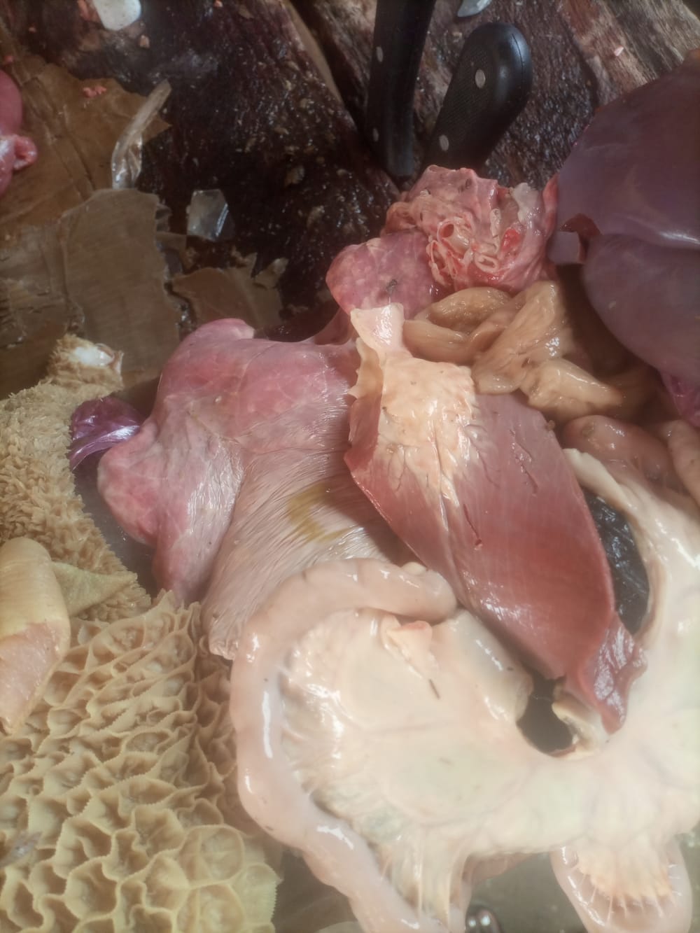 Intestine/cow head/cow leg