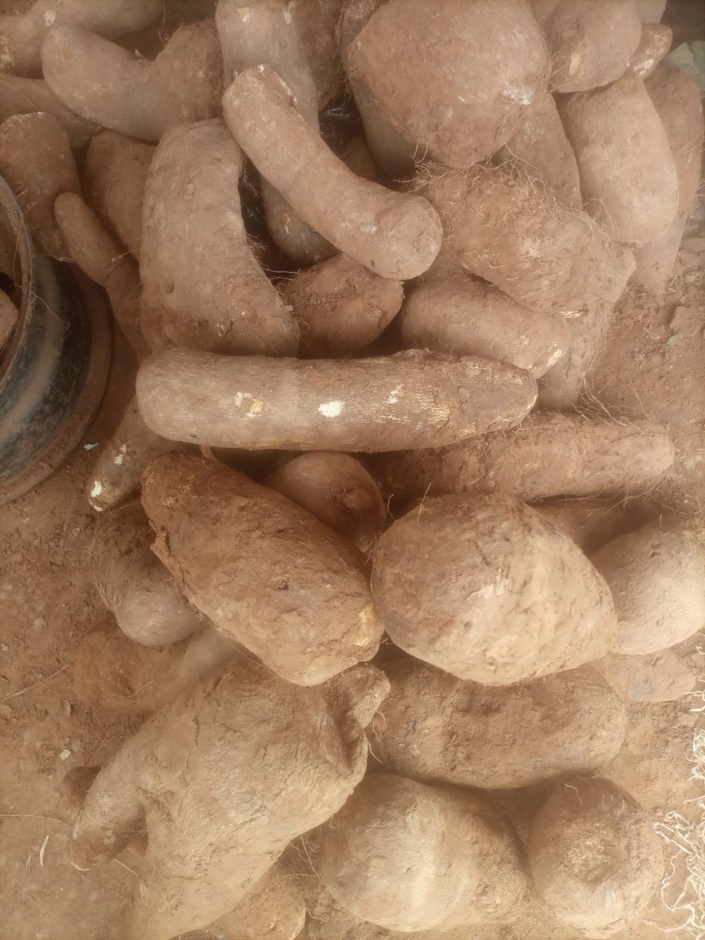 Yam and Irish potato