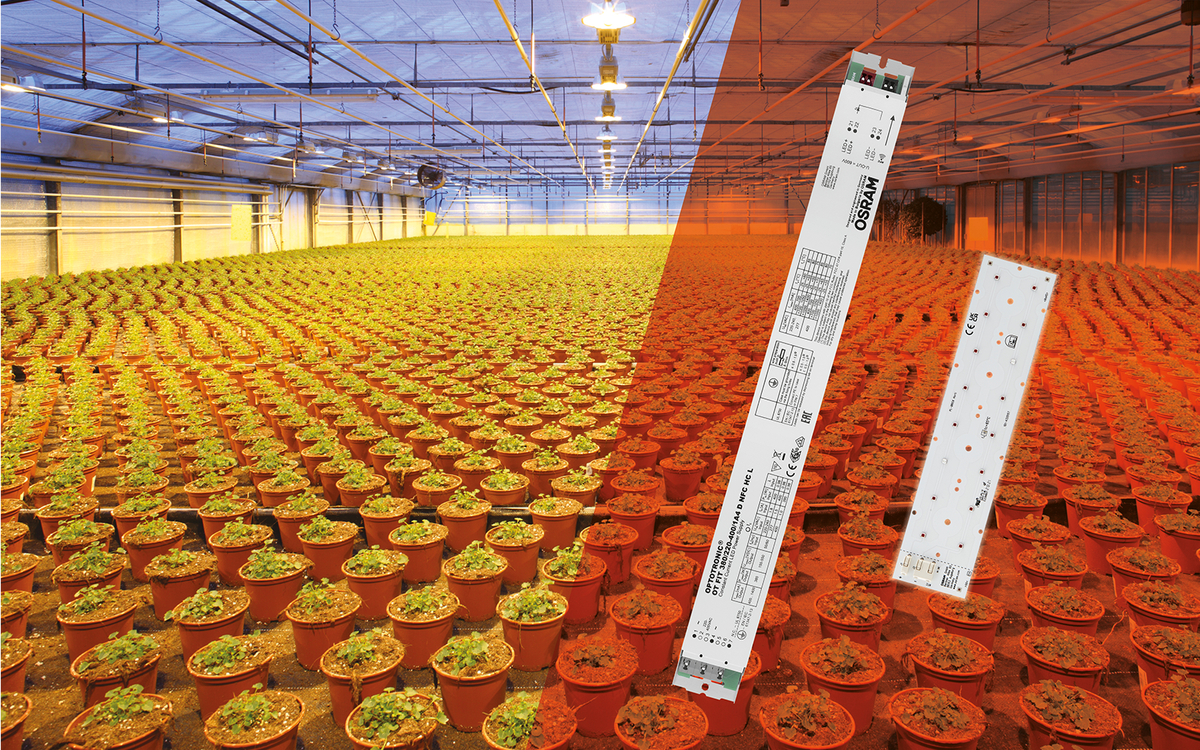 Osram Project