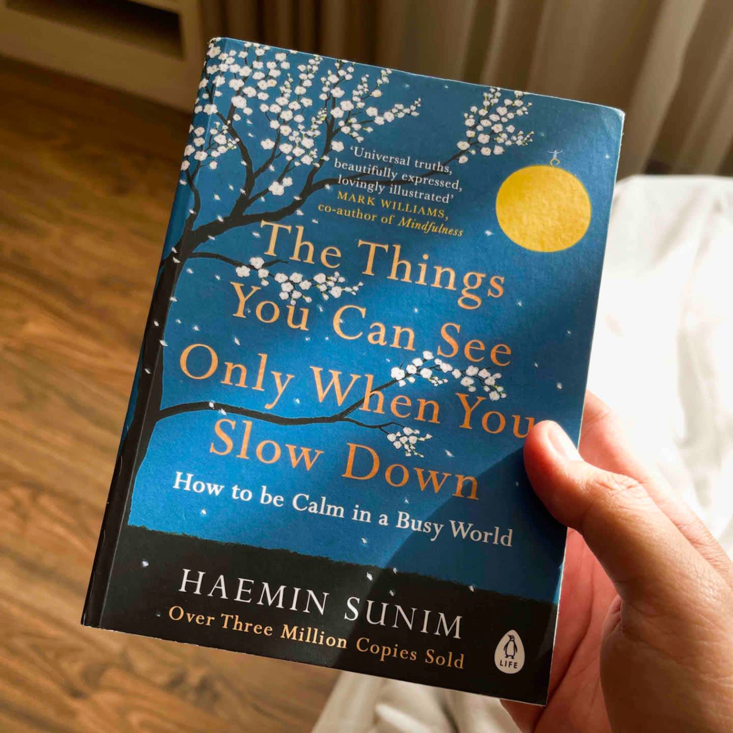 The Things You Can See Only When You Slow Down-Haemin Sunim