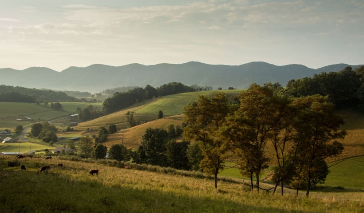 Visit Virginia