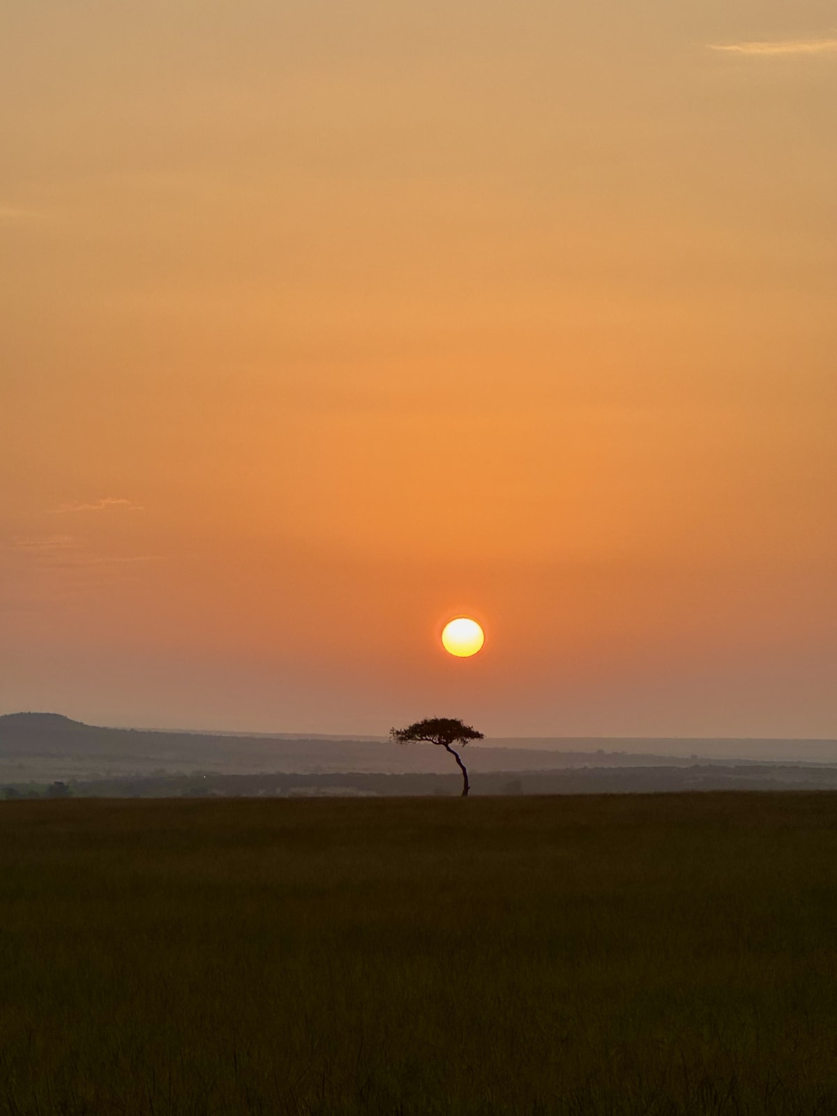 Masai Mara: A Meditation