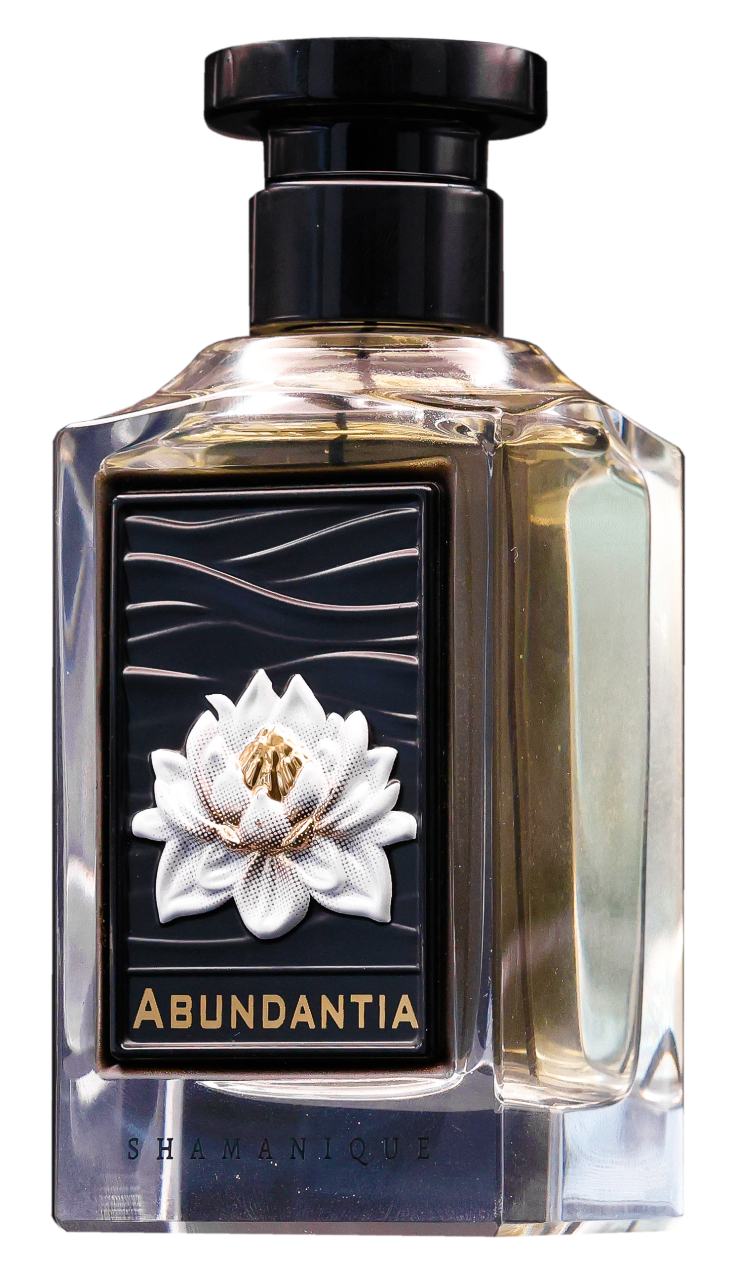 Shamanique Abundantia Extrait de Parfum Unisex 100ml Shamanique Abundantia Extrait de Parfum Unisex 100ml