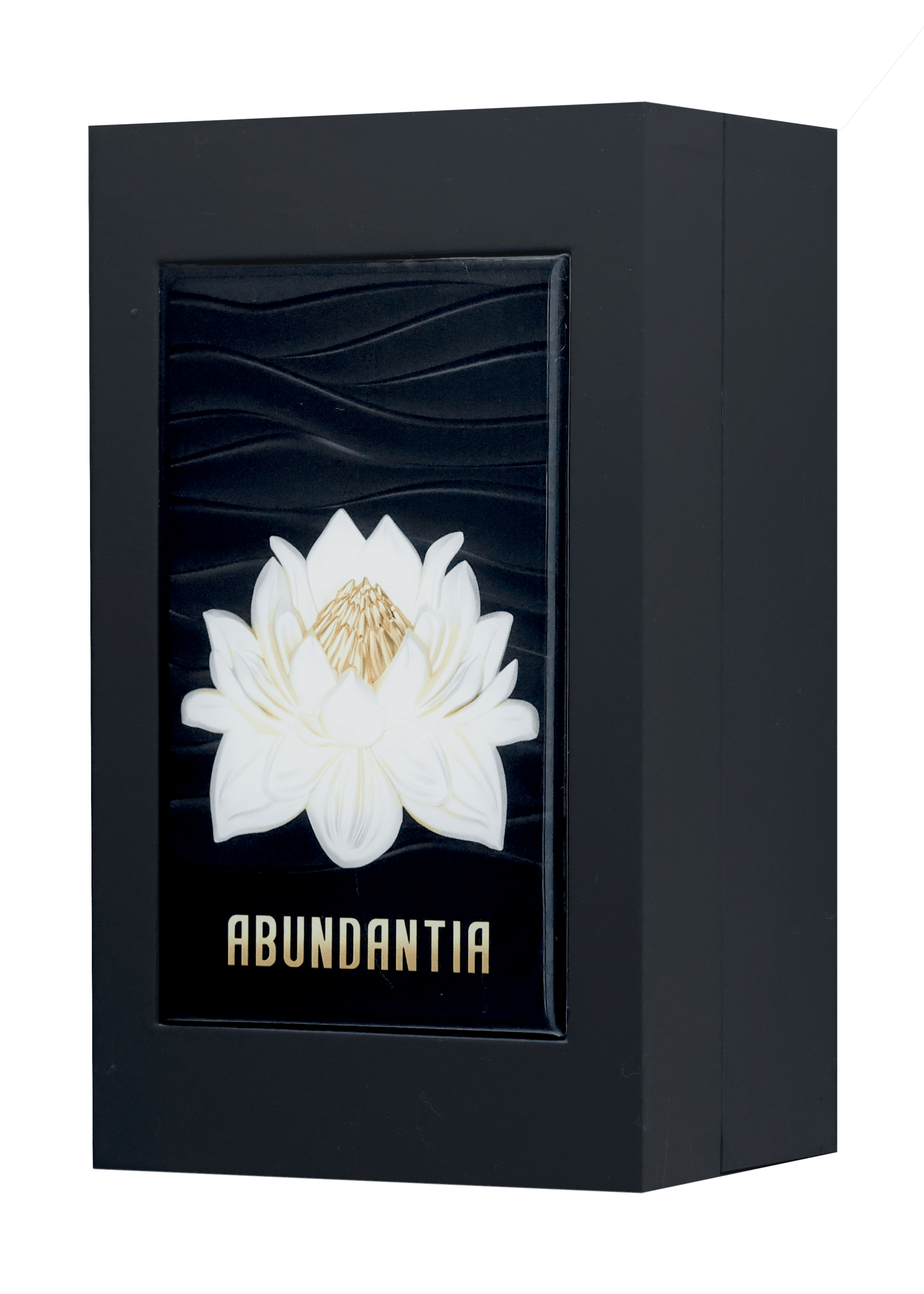 shamanique-abundantia-extrait-de-parfum-unisex-100ml-a3093 shamanique-abundantia-extrait-de-parfum-unisex-100ml-a3093