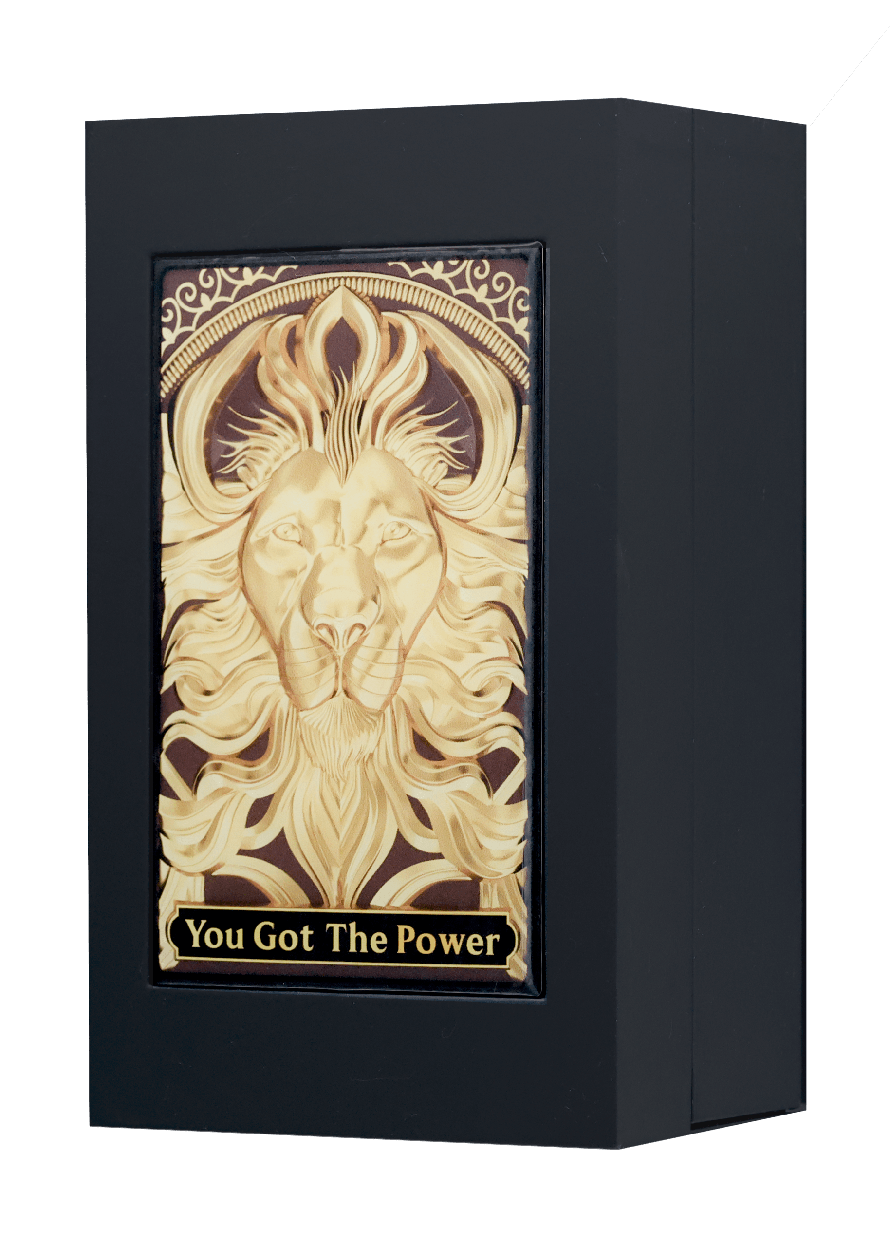 shamanique-you-got-the-power-extrait-de-parfum-unisex-100ml-a3105 shamanique-you-got-the-power-extrait-de-parfum-unisex-100ml-a3105