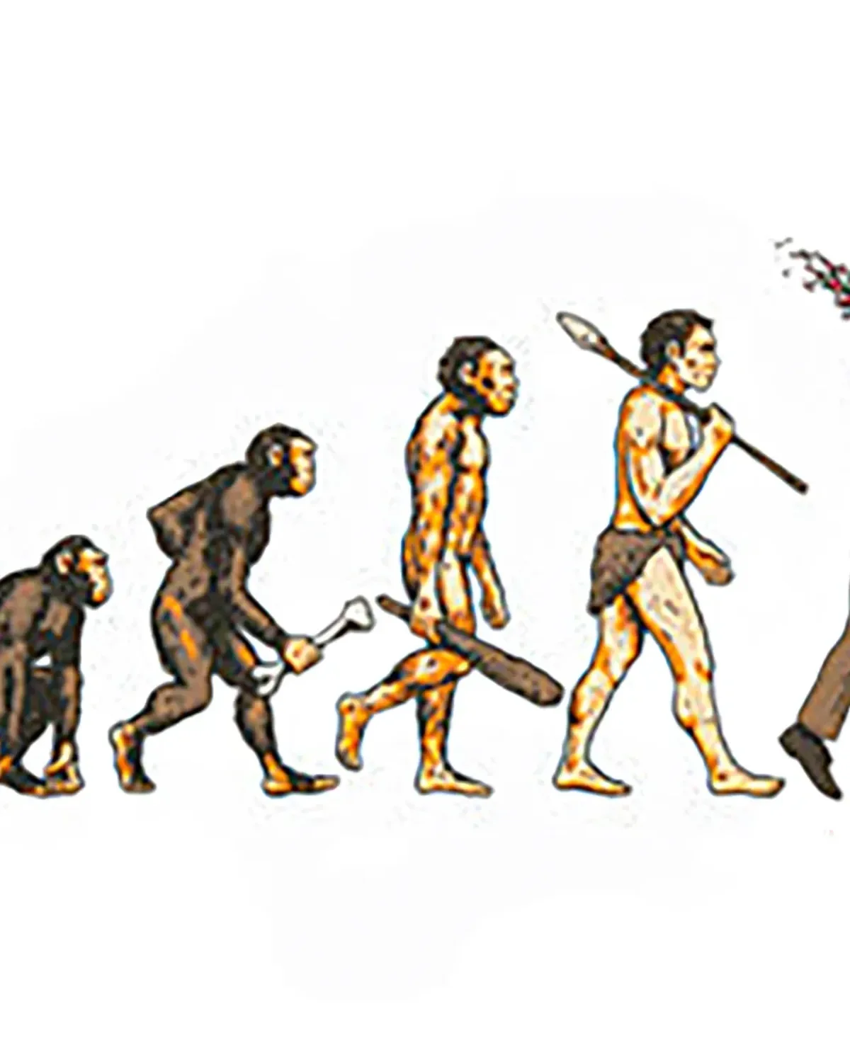 Supreme Evolution