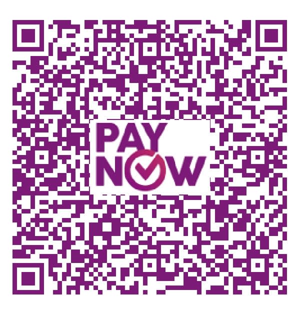 PayNow