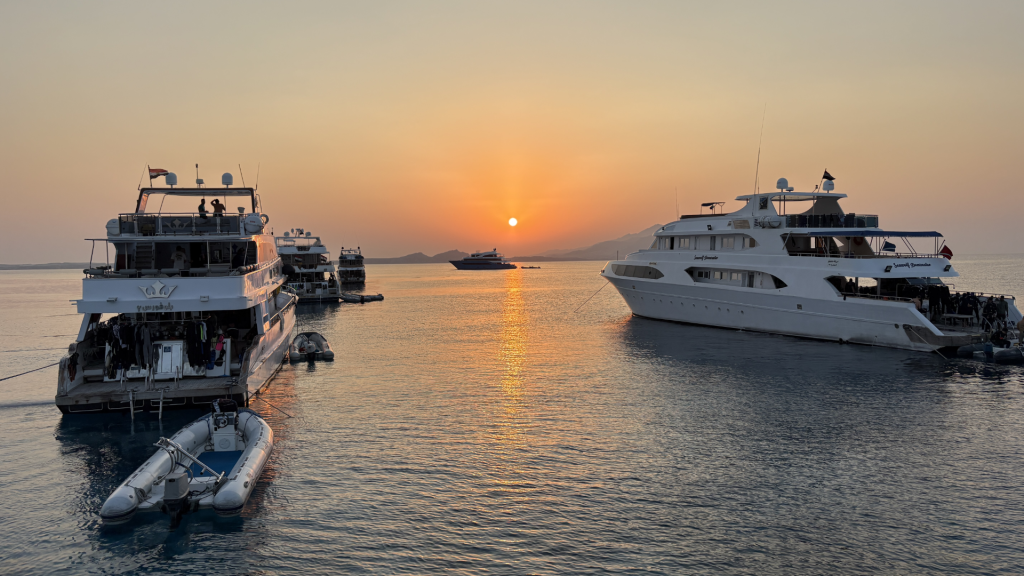 Египет: Дайвинг сафари на Север и Тиран