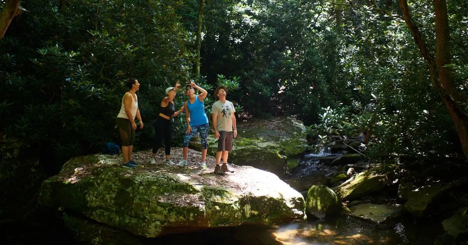 Hiking-Trekking-and-Nature-Bathing