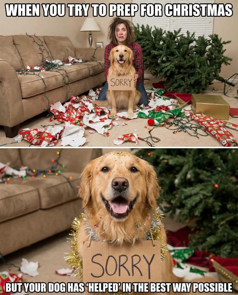 Naughty Dog's Christmas Mess