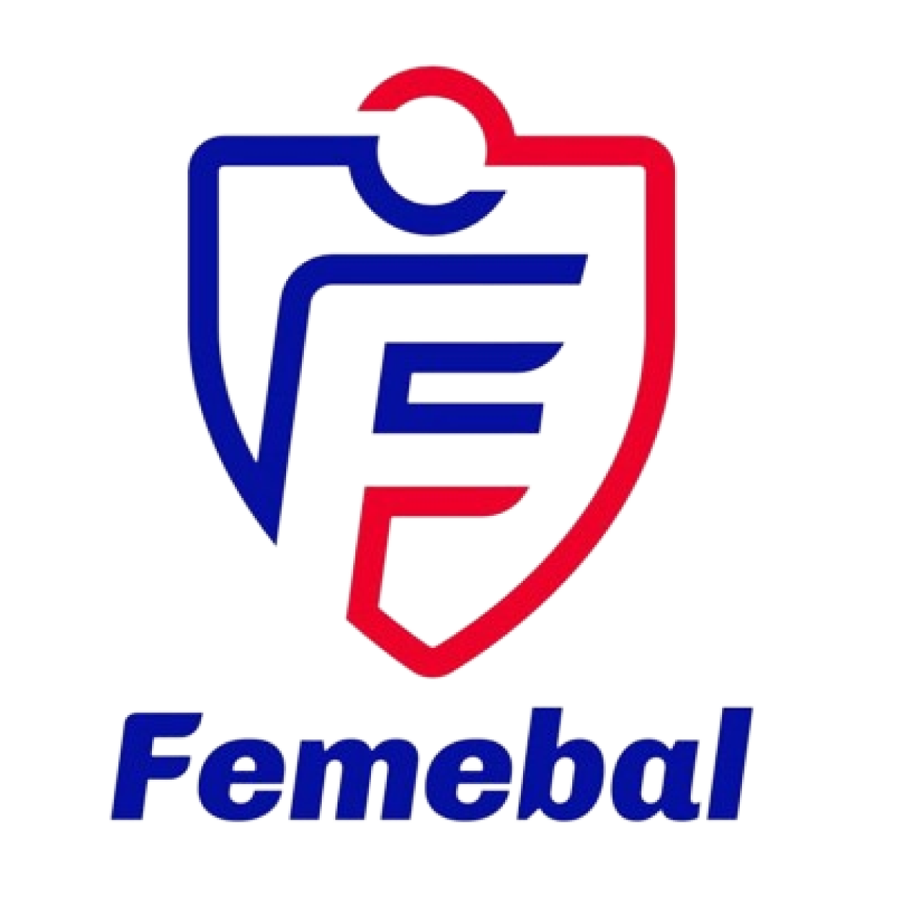 imagen handball masculino mayores
