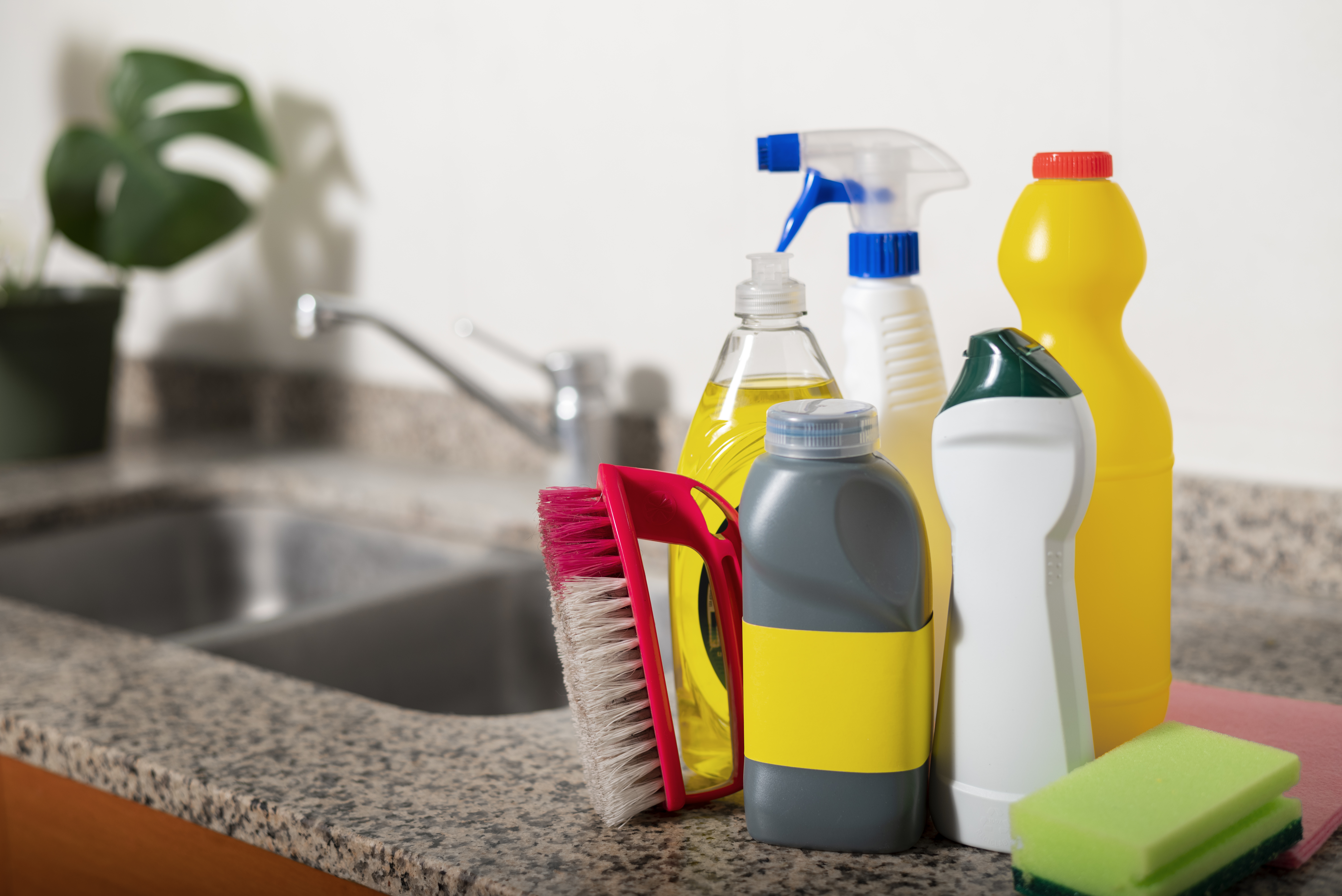Clean home interior