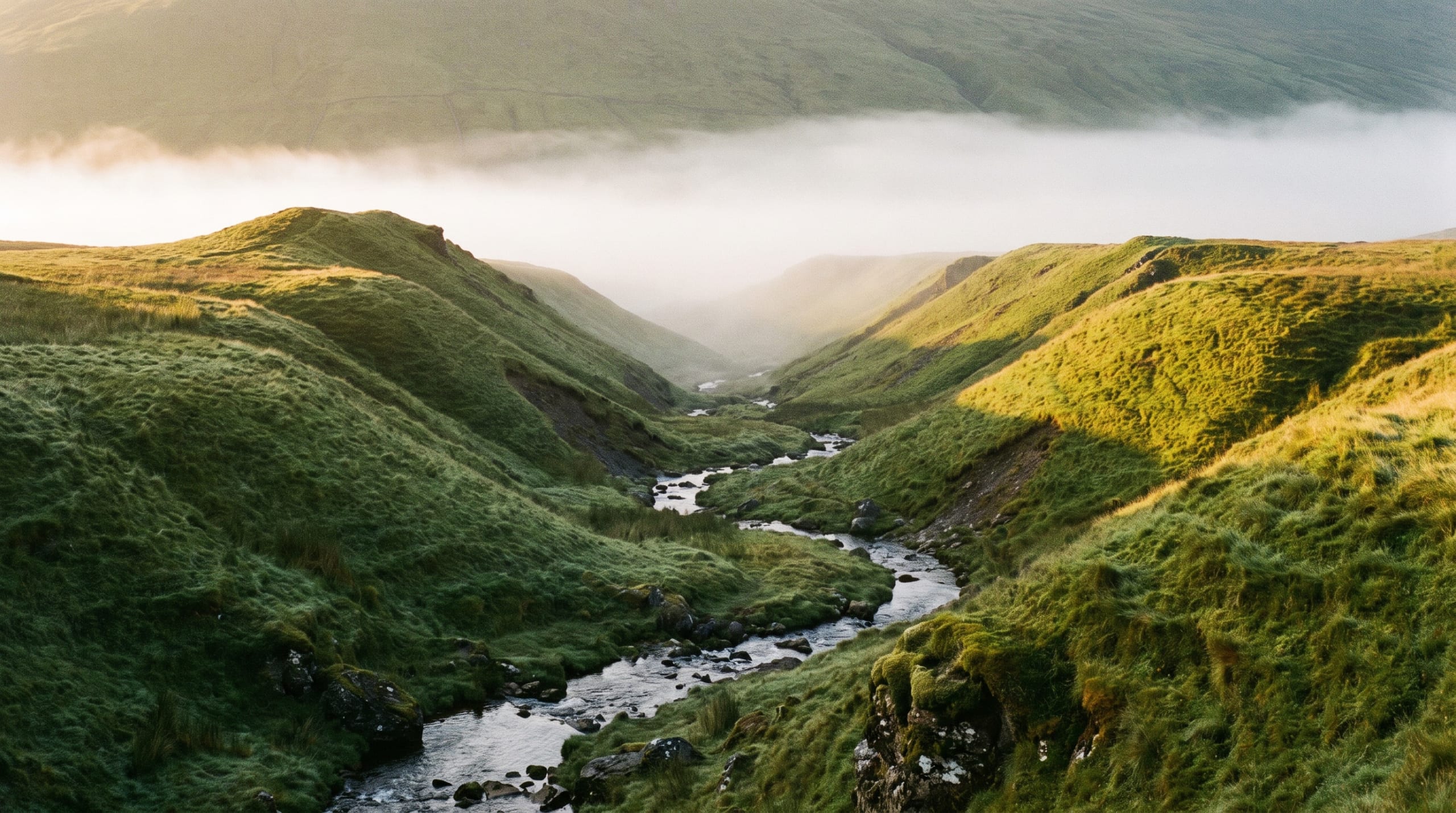 Fog filling a green mountain valley at dawn with steep slopes on both sides