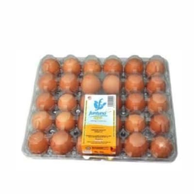 Egg