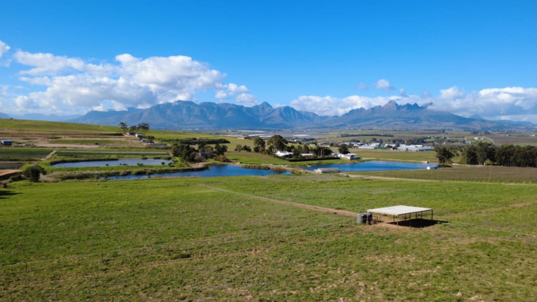 210,000m² Farm For Sale in Lyndoch