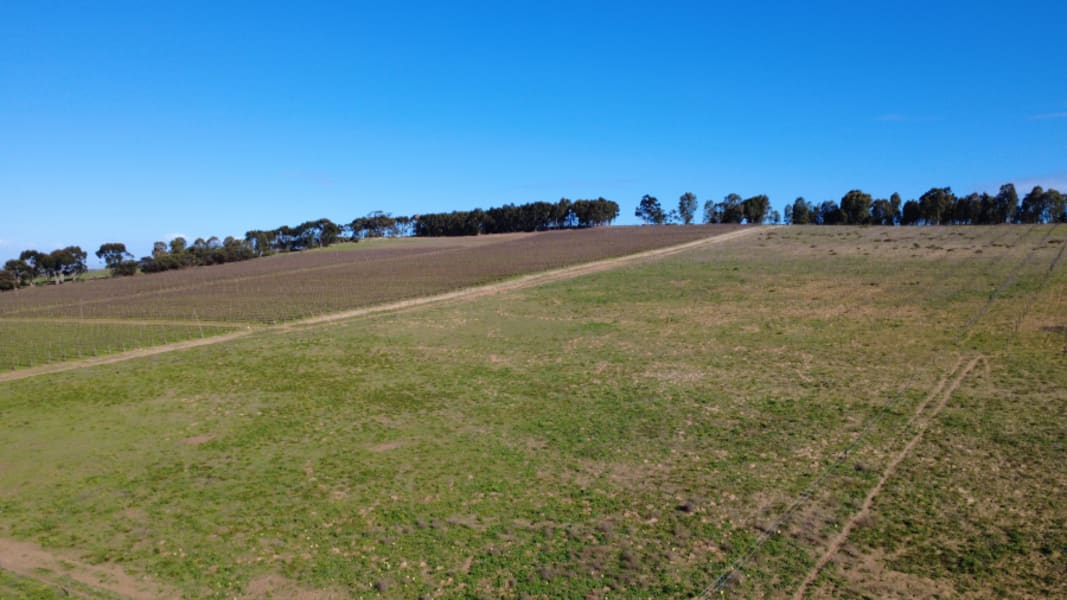 210,000m² Farm For Sale in Lyndoch