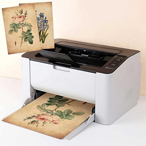 Vue 3 de Feuilles Papier Parchemin Vintage