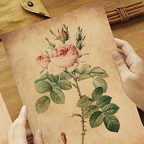 Vue 7 de Feuilles Papier Parchemin Vintage