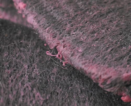 Vue 3 de Spontex Tampons Recurer