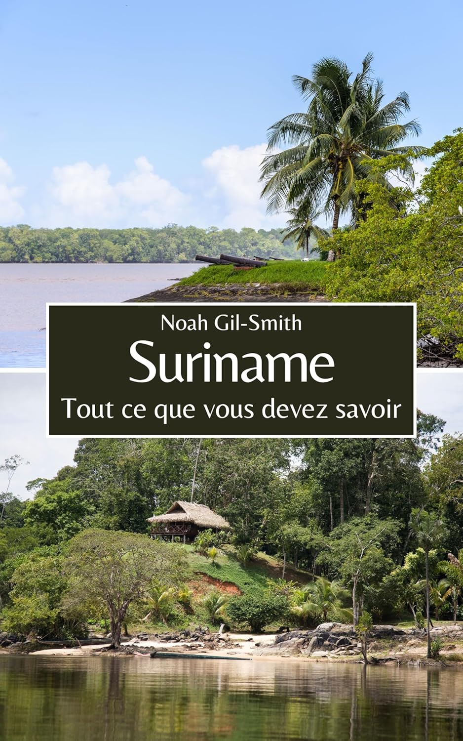 Vue 2 de Passion Poulet Frit Recettes