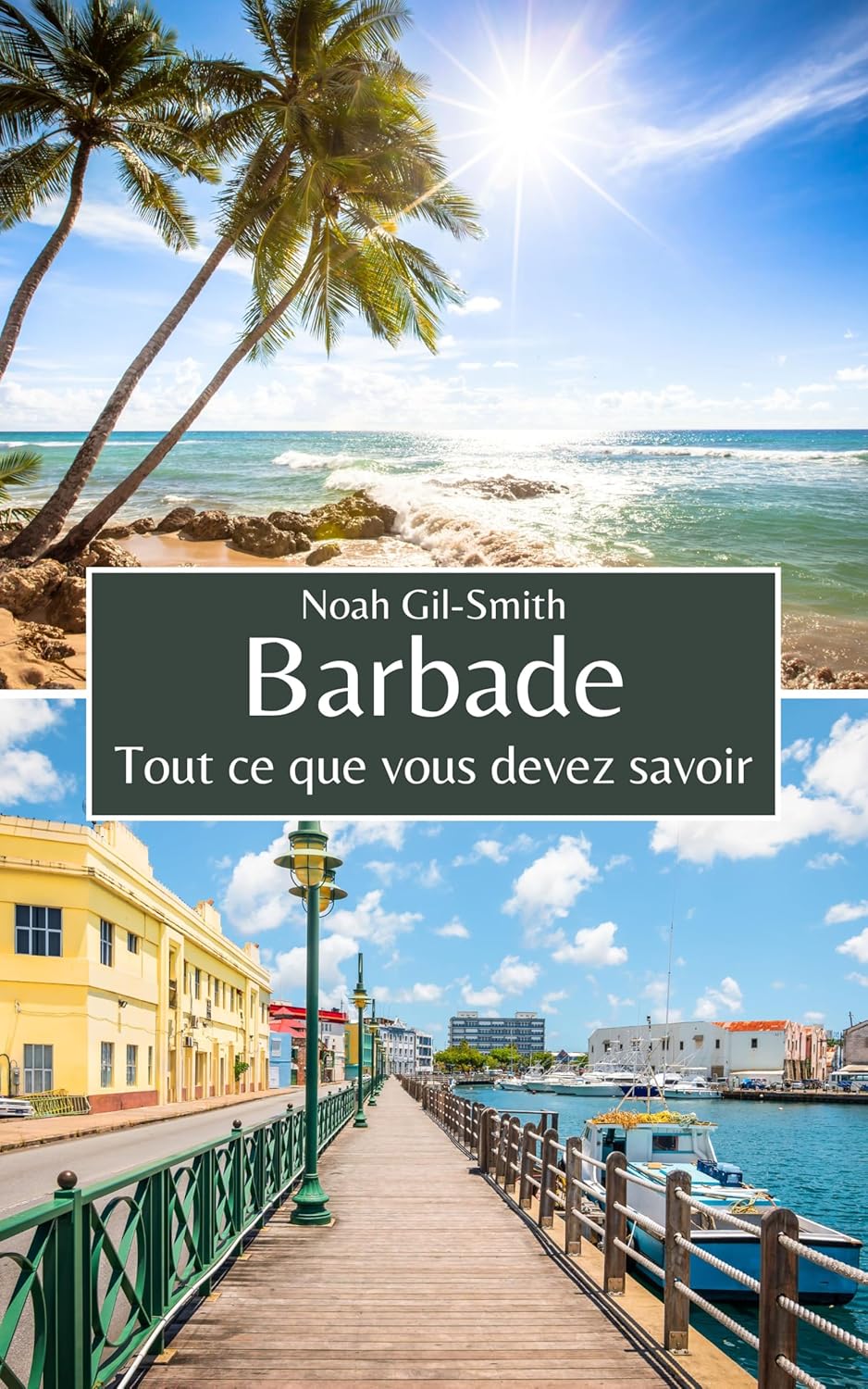 Vue 5 de Passion Poulet Frit Recettes