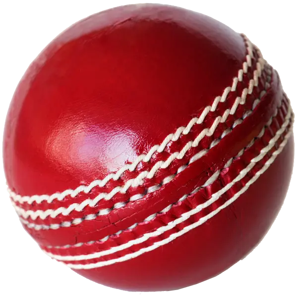 Cricket Ball