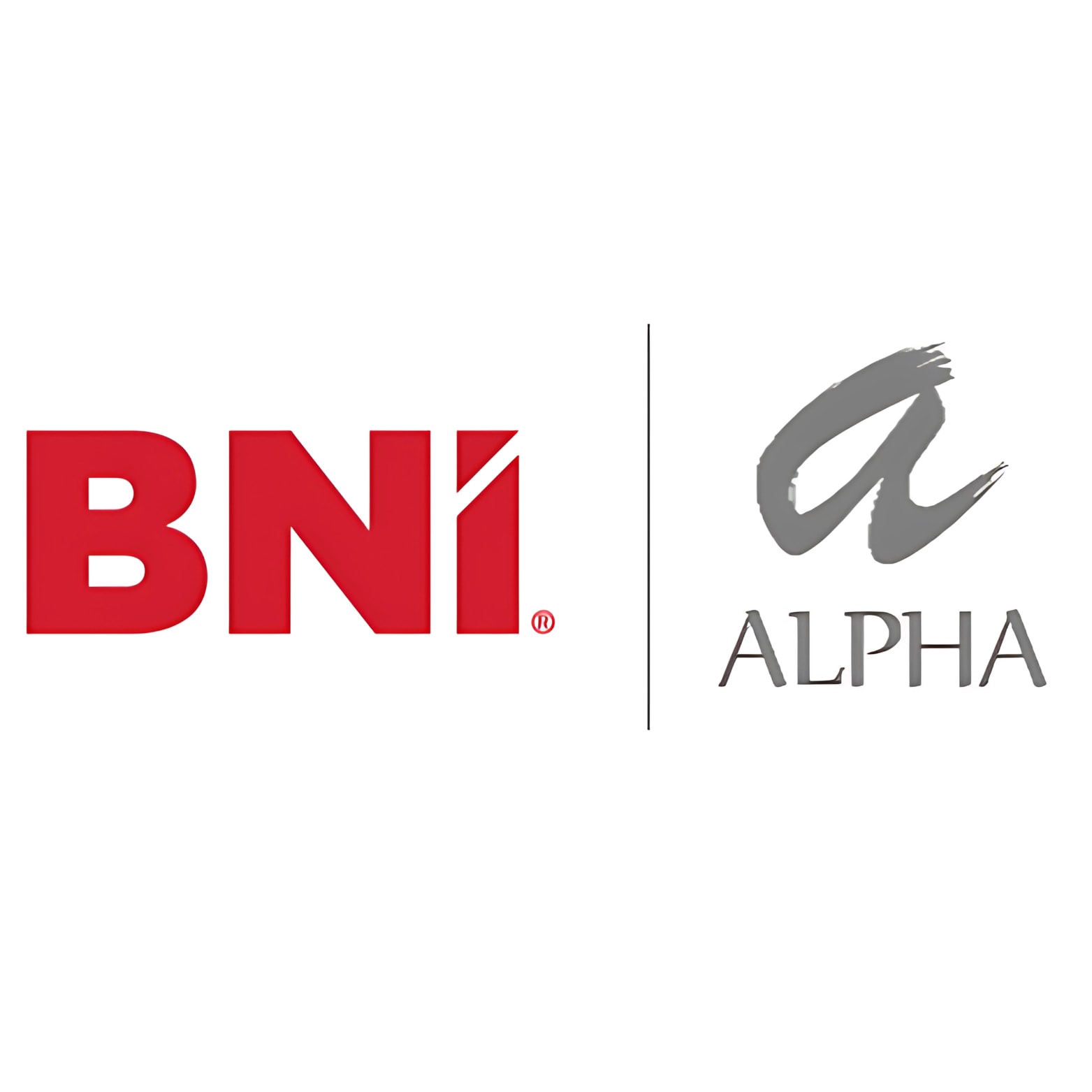 BNI Alpha