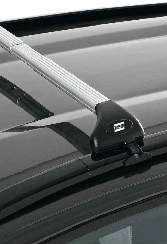Alu Viva 2 Fabbri Integrato Silver Barre Portatutto Rails chiusi