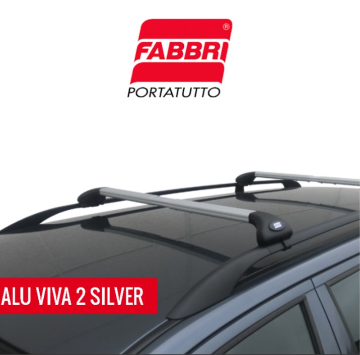 Alu Viva 2 Fabbri Silver Barre Portatutto Rails aperti