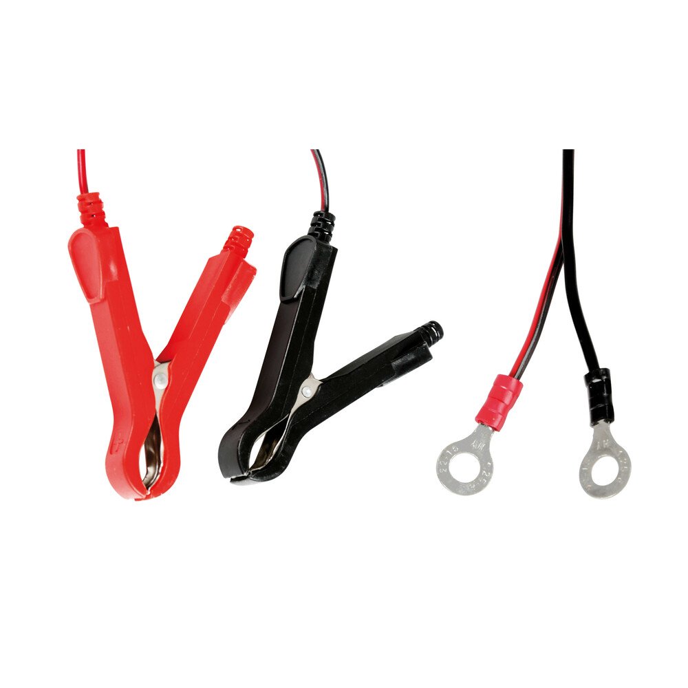 AMPEROMATIC Lithium-Plus Caricabatteria/Allenatore intelligente 12V – 3,8A