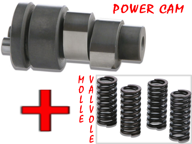 Malossi Power Cam Albero Camme e Molle Valvole Piaggio Gilera 4t