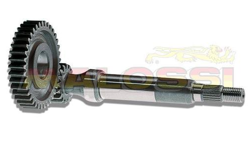 Rapporti Primari Malossi Aprilia 67 14039