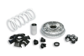 VARIATORE MALOSSI SUZUKI BURGMAN 125 – 150 – 5111324