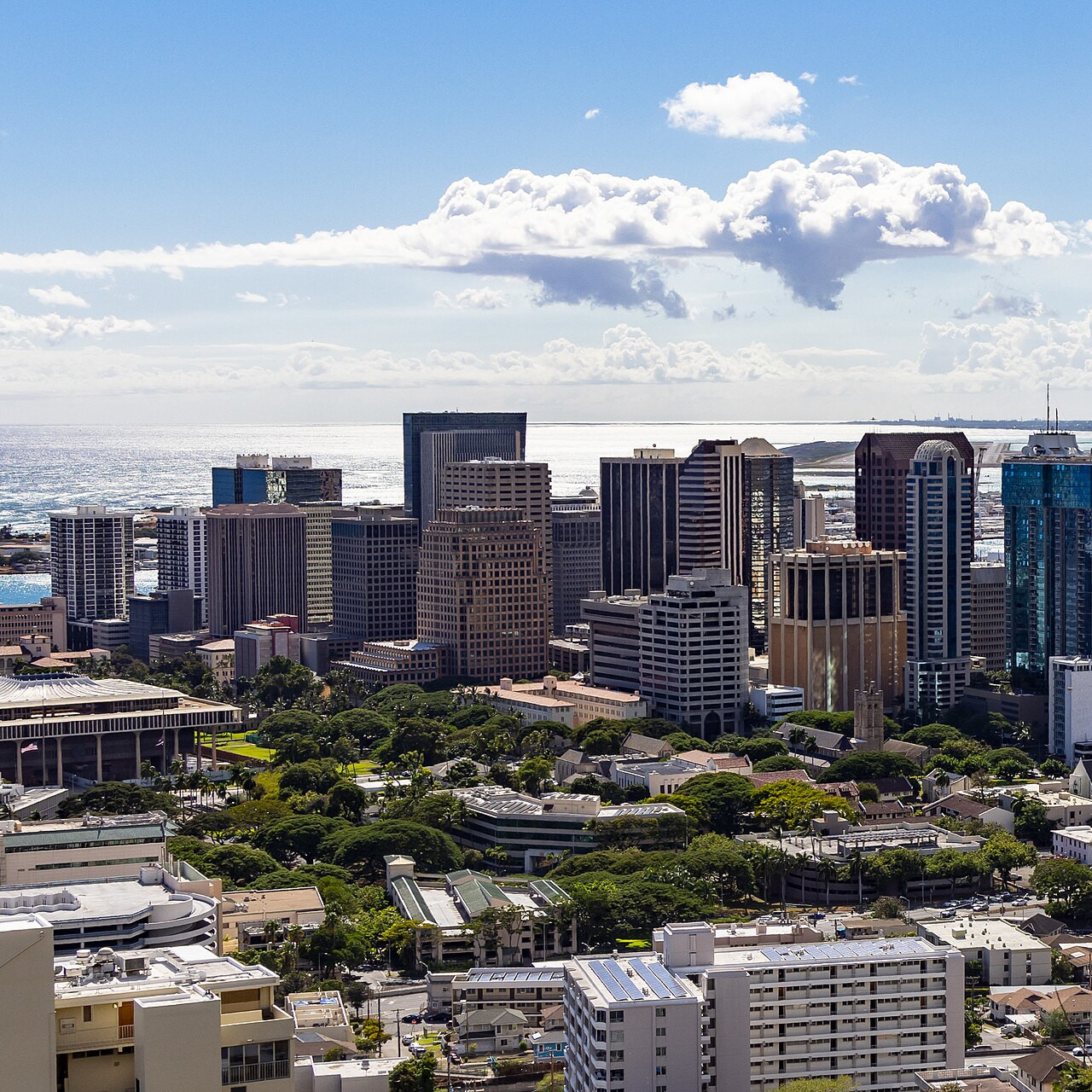 38 Top Real Estate Agents in Honolulu, HI for 2025