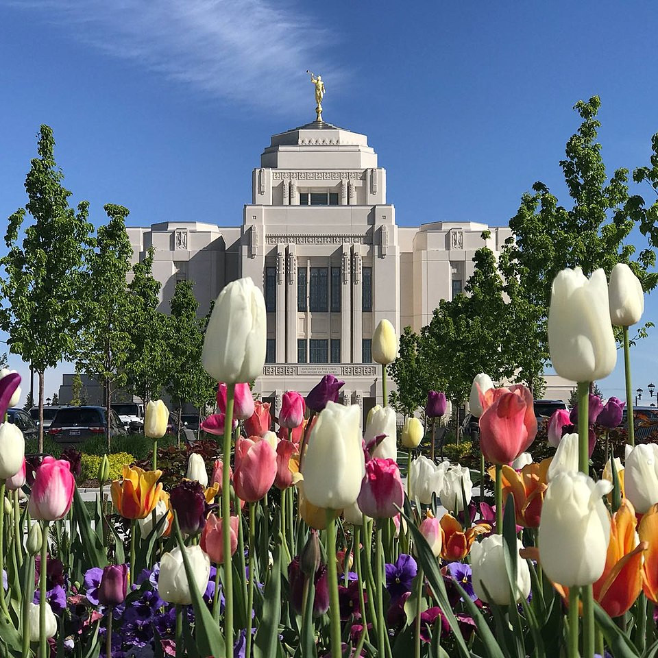 24 Top Real Estate Agents in Meridian, ID for 2025