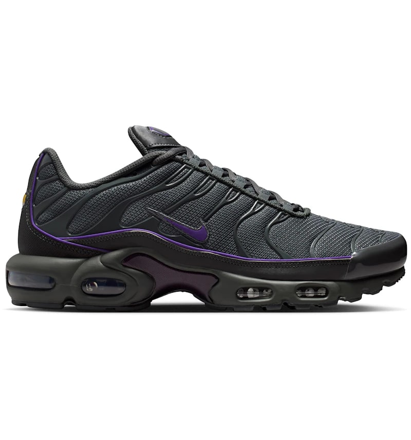 Nike Air Max Plus OG Iron Grey Wild Grape