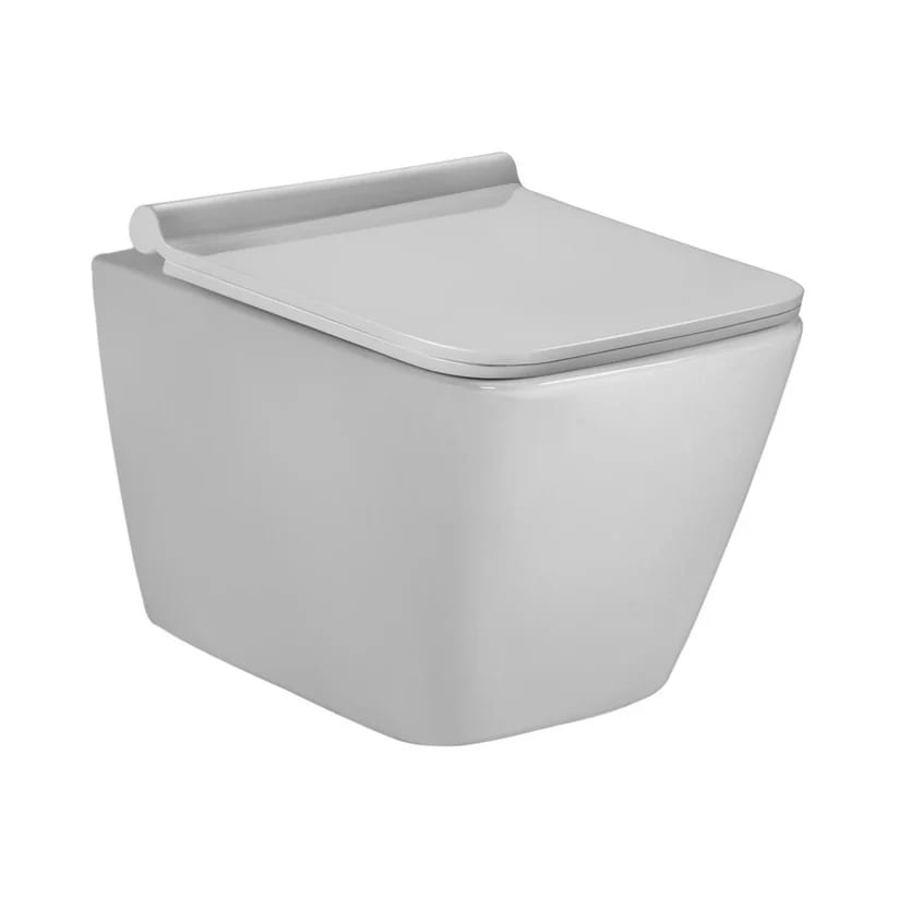 Parryware Luco Wall Mounted Rimless Water Closet (Platinum Grey)