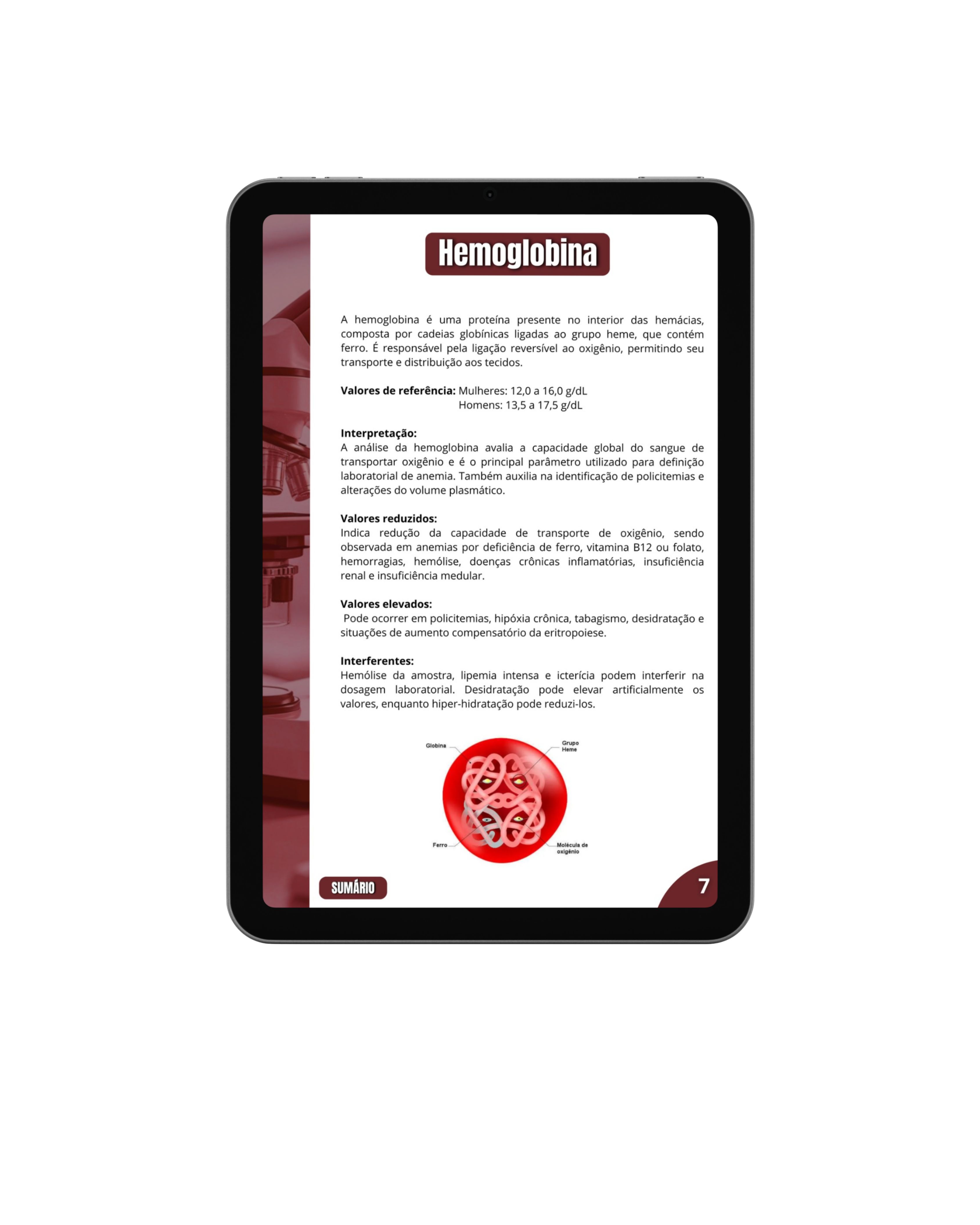Acesse a interpretação - Guia do Hemograma