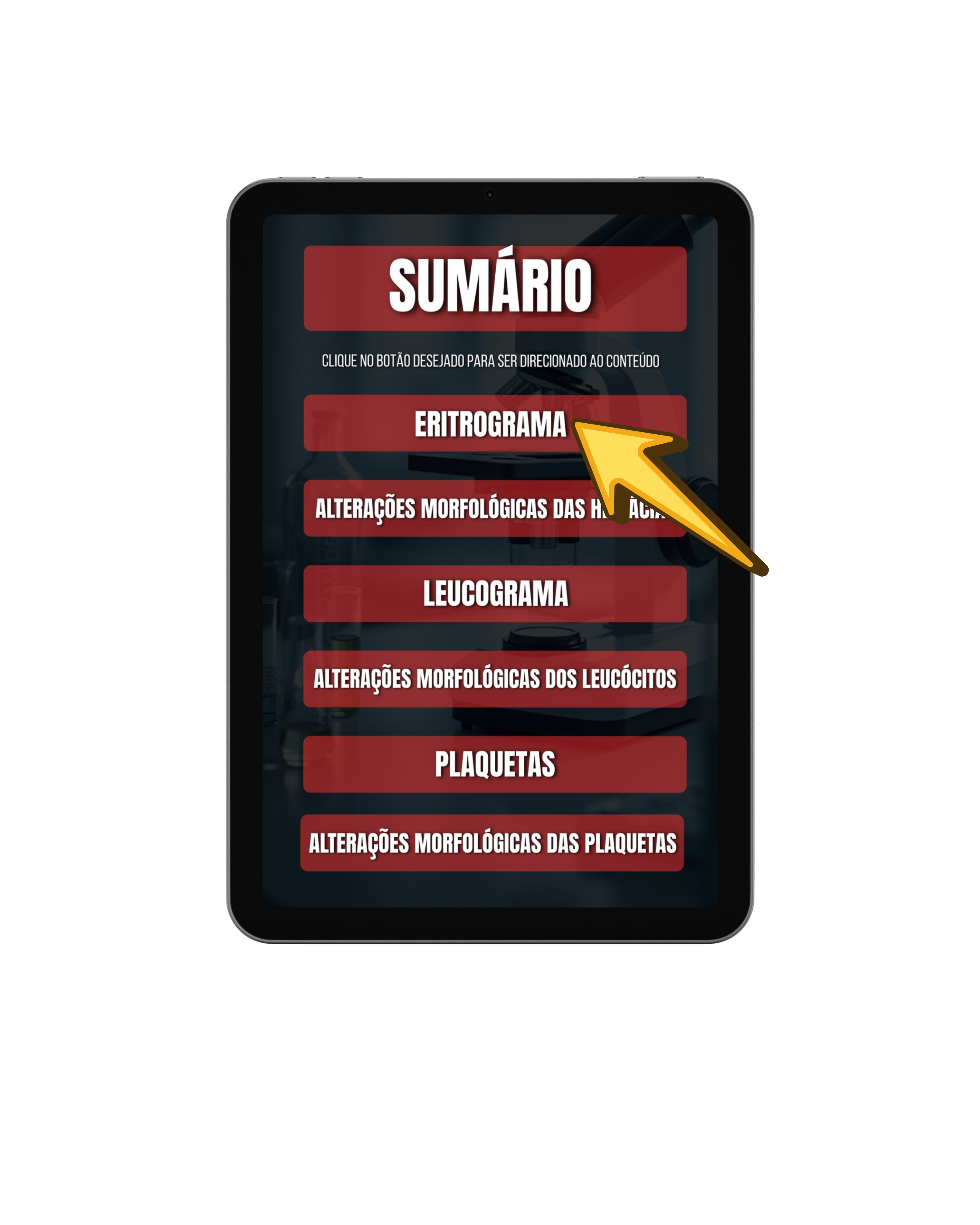 Escolha o tema - Guia do Hemograma