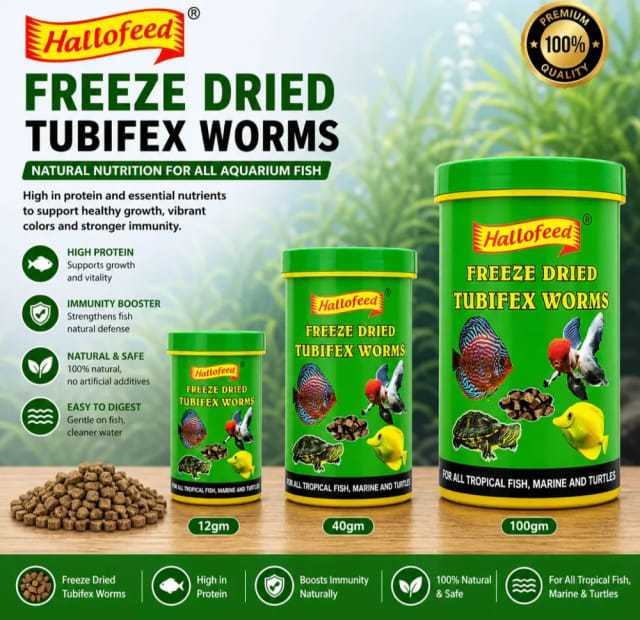 HELLO FEED FREEZE DIED TUBIFEX WORMS by Petmaza
