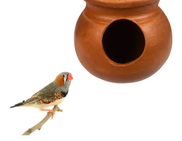 MUDGO Clay/Mud Pot for Finches or Sparrow Birds with Lid, Terracotta Breeding Pot for Cages/Small Birds by Petmaza