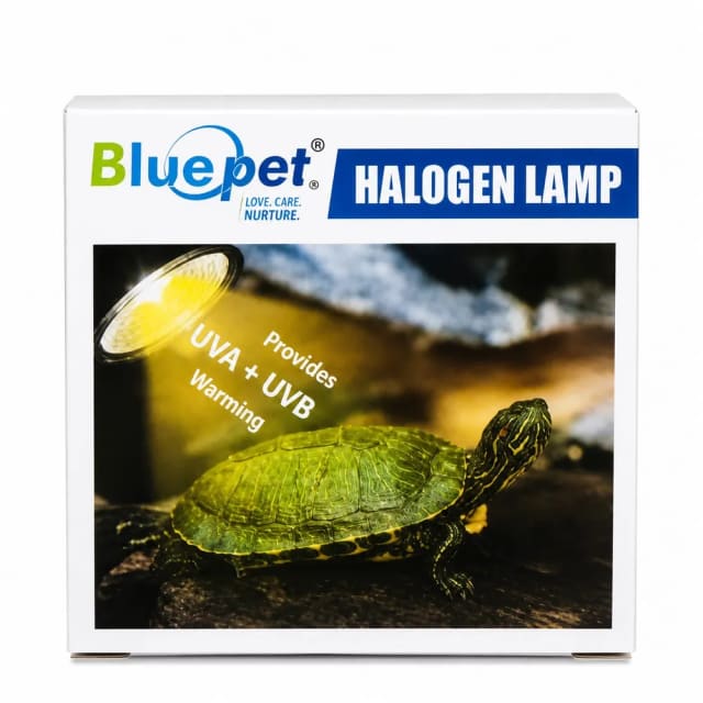 Halogen lamp by Petmaza