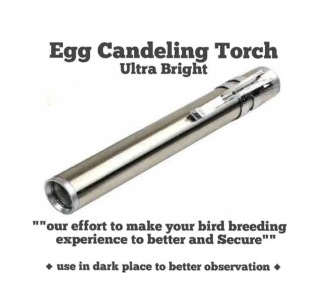 EGG CANDLING TORCH by Petmaza