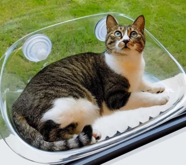 CAT HAMMOCK CP-2712 by Canine product